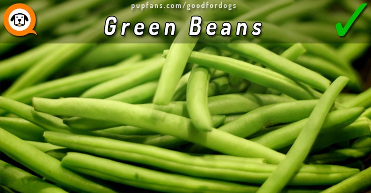 Green Beans