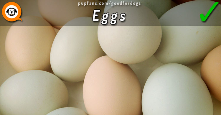 Eggs