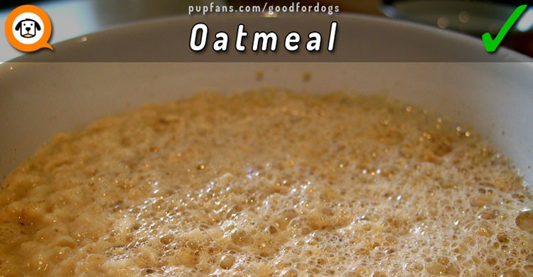 Oatmeal