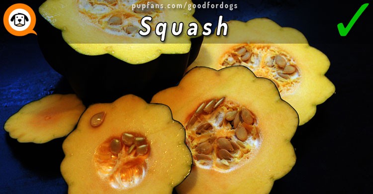 Squash