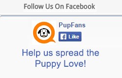 Like PupFans on Facebook