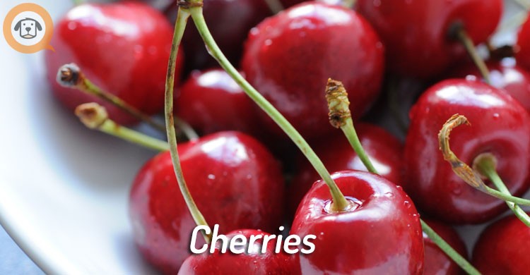 cherries