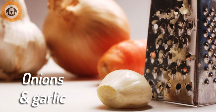 Onions & Garlic