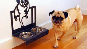 Pug Dinner