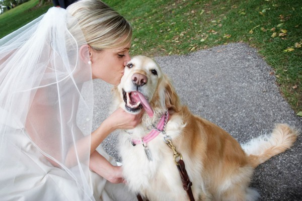 bride kissing her dog