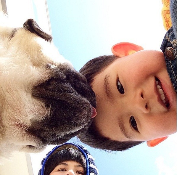 cute boy and pug