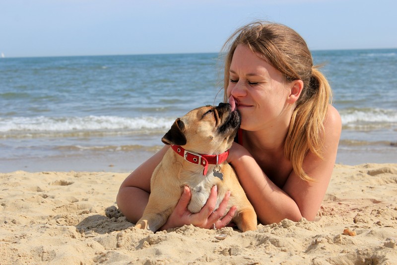 pug and owner on the beach