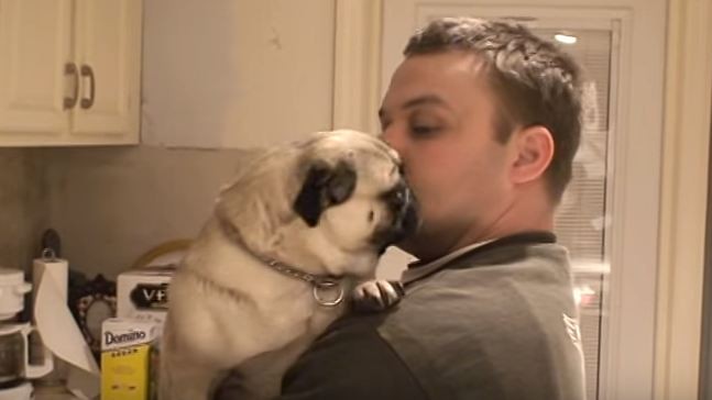 pug giving dad a hug 