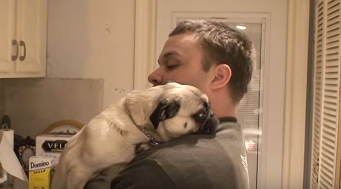 pug giving dad a hug 