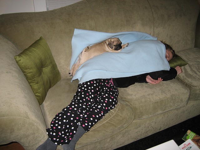 pug sleeping on a person