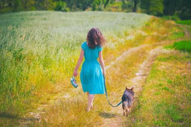 walking a dog in a field