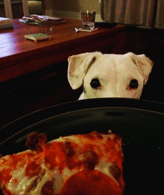pizza guilt