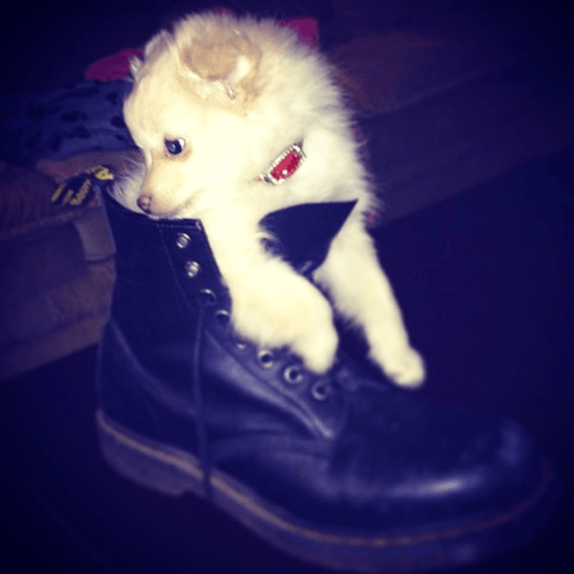 tiny boot