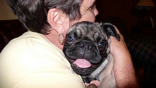 hugging a pug