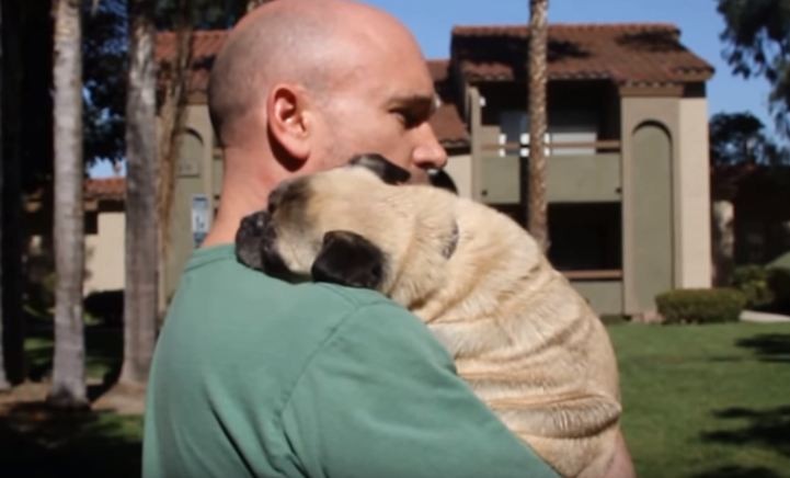 pug giving dad a hug