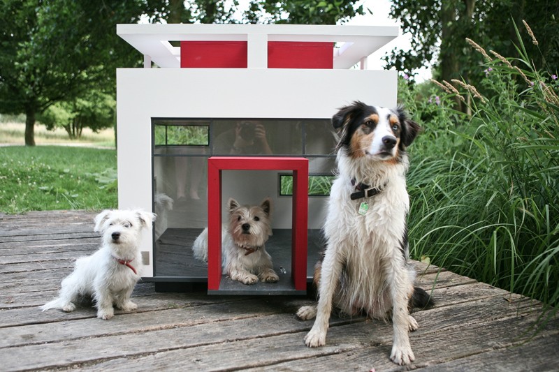 dog house