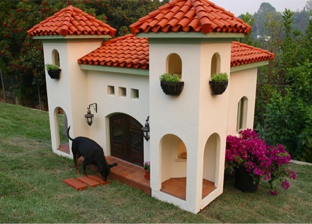 dog hacienda