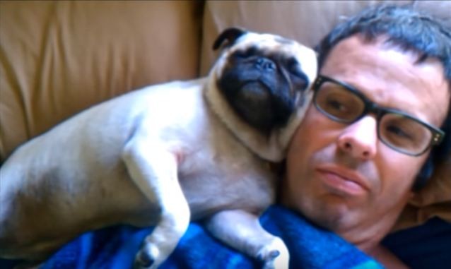 dad looks over at pug