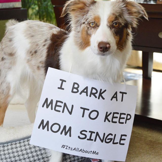 bark at men