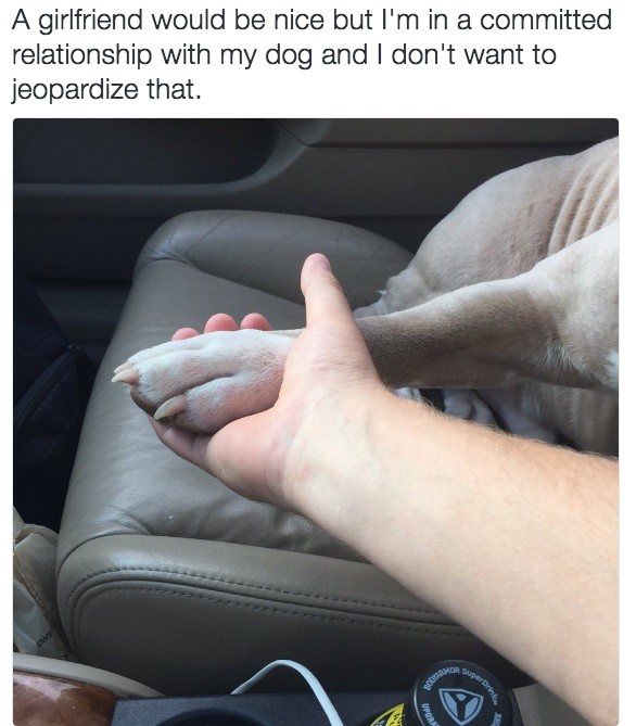 holding a dog's hand