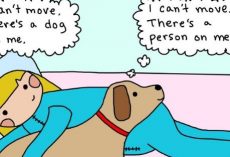7 Dog Comics Dog Owners Can Totally Relate To