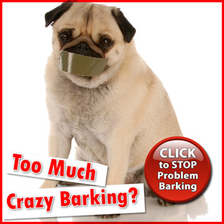 Too Much Crazy Barking?