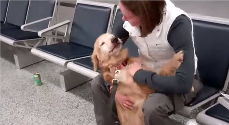 Heartwarming: 8 Doggies Welcome Their Soldiers Home