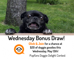 Bonus Prize Draw: Wednesday, May 13th