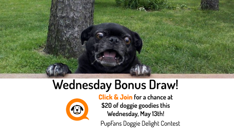 Bonus Draw May 13th