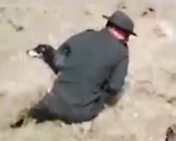 This Dog Was Swept Away By Flash Floods. You won’t believe what Police did!