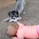 A Puppy and Baby Battle Over the Same Toy and Their Interaction is Adorable!