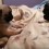 Fearless Puppy has a Blast on the Bed with Older Pug – LOL!
