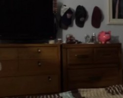 Dog Dukes it Out to Defend His Territory