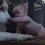 Watch a Gentle Husky Plays With a Baby. So Precious!
