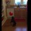 Talented French Bulldog Keeps a Balloon From Touching the Ground! Incredible!