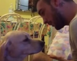 This Pooch Wants Forgiveness and it’s Hilarious How He Says He’s Sorry!