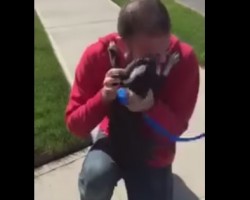 [VIDEO] Lost Doggy is Found Again and the Reunion Will Melt Your Heart