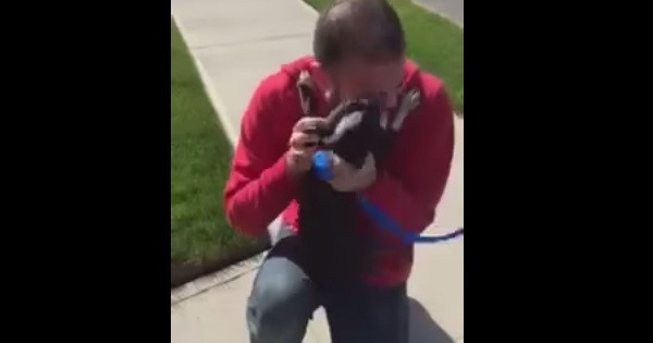 dog reunited with owner
