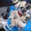 This Pug Party is the Cutest Doggy Get Together Yet!
