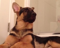 Dog and Owner Sing a Duet — Watch and be Blown Away!
