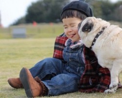 Mr. Kimchi the Pug and a Little Boy Happen to be the Sweetest Friends EVER