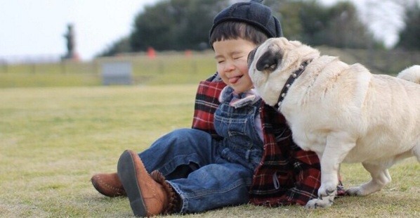 boy and pug