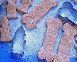 Concerned About Artificial Additives in Dog Treats? Make Your Own!