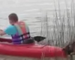 You’ll Crack up When You See How This Dog Tries to Stop His Dad From Going Kayaking… LOL!
