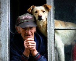 What are Some of the Best Dog Breeds for Senior Citizens? Find Out Here!