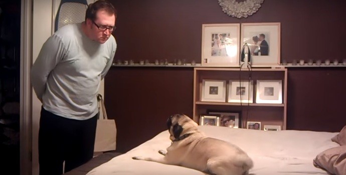 pug and dad