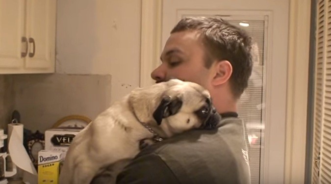pug hugging his dad