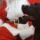 [VIDEO] These Holiday Pooches Will Get You in the Holiday Spirit and Make You Smile!