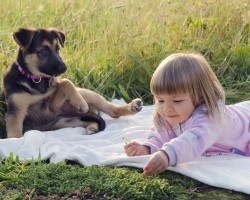 How Your Dog is Helping Your Child Learn and Develop Skills… In More Ways Than One!