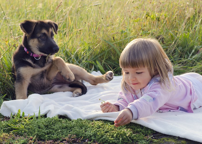 dog and child